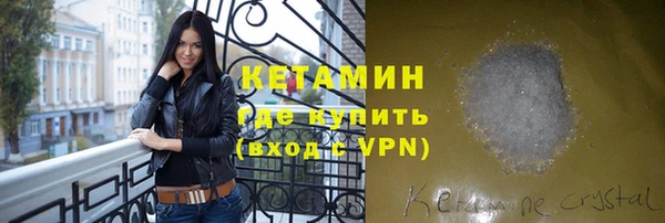 сатива Беломорск