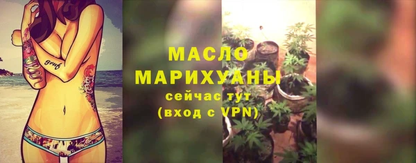 сатива Беломорск