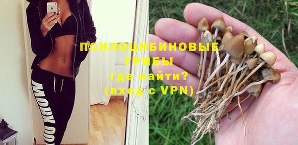 Альфа ПВП Богданович