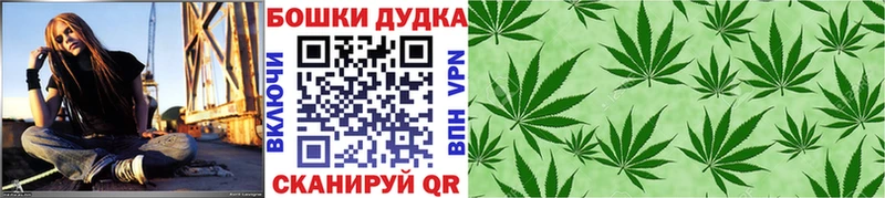 Купить  Кяхта  Шишки марихуана OG Kush 